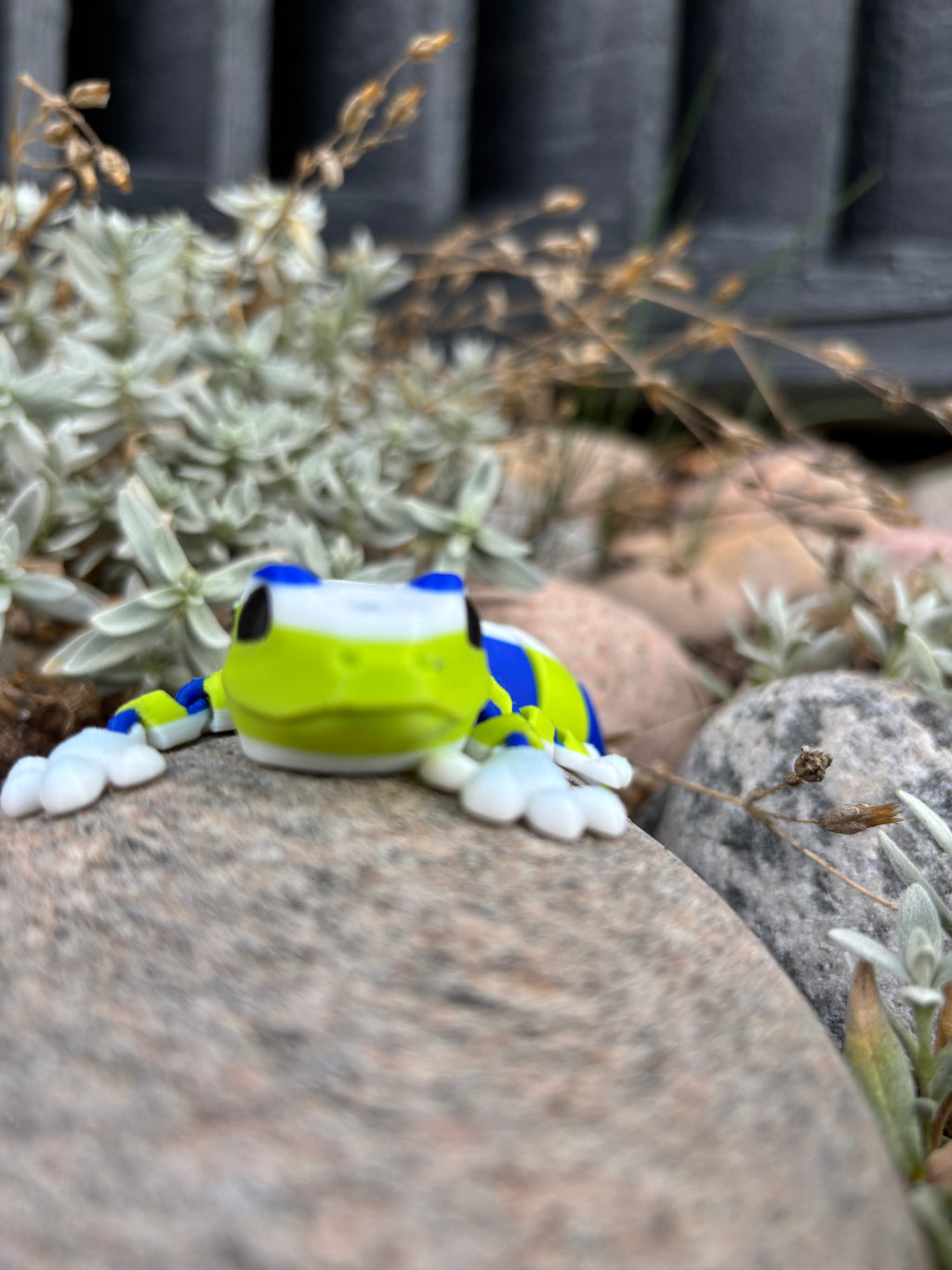 Zippy, Stribehalet Vidunder gekko fra Den Hviskende Jungle