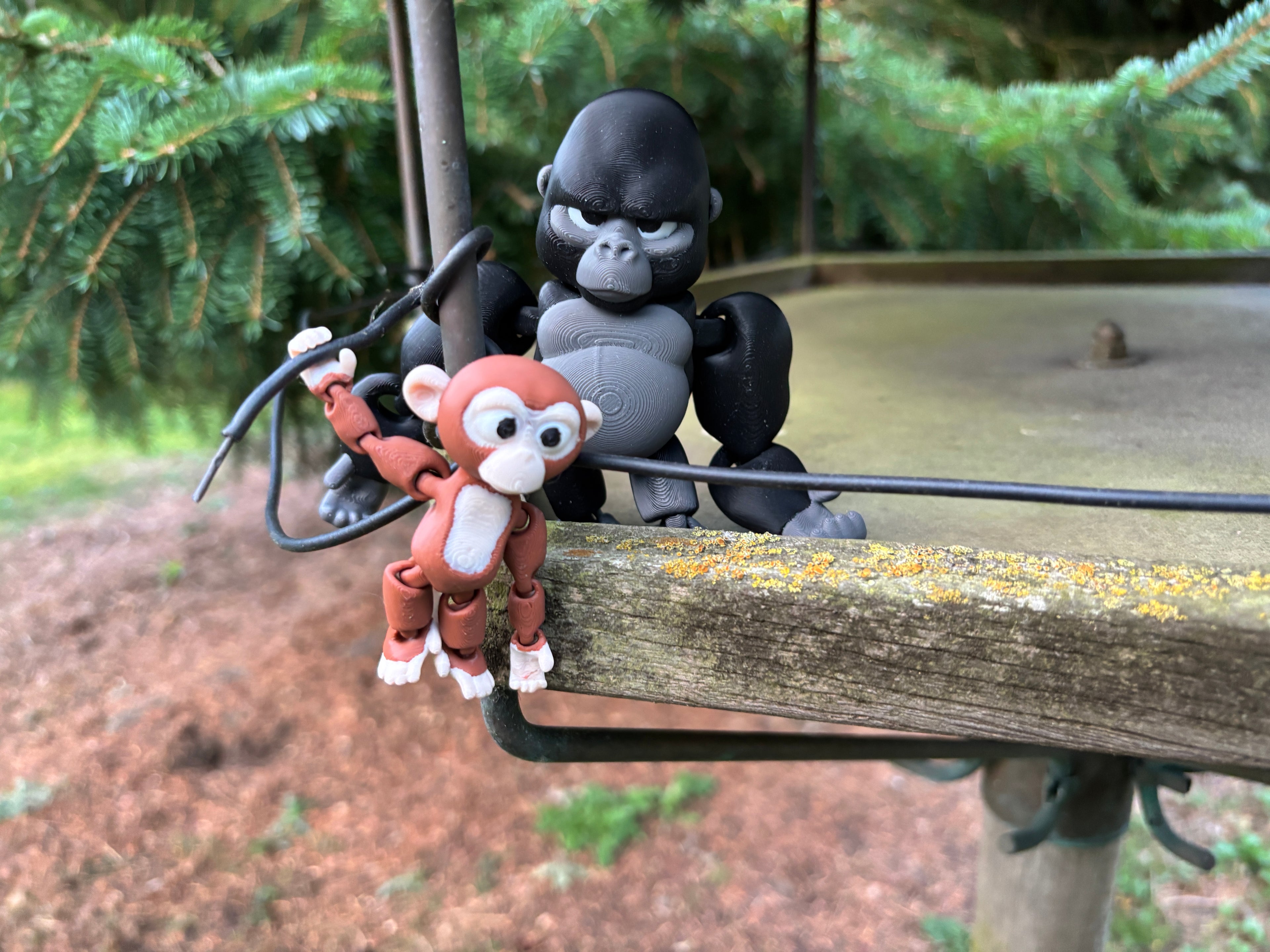 Grumble, Den Tavse Vogter fra Den Glemte Jungle