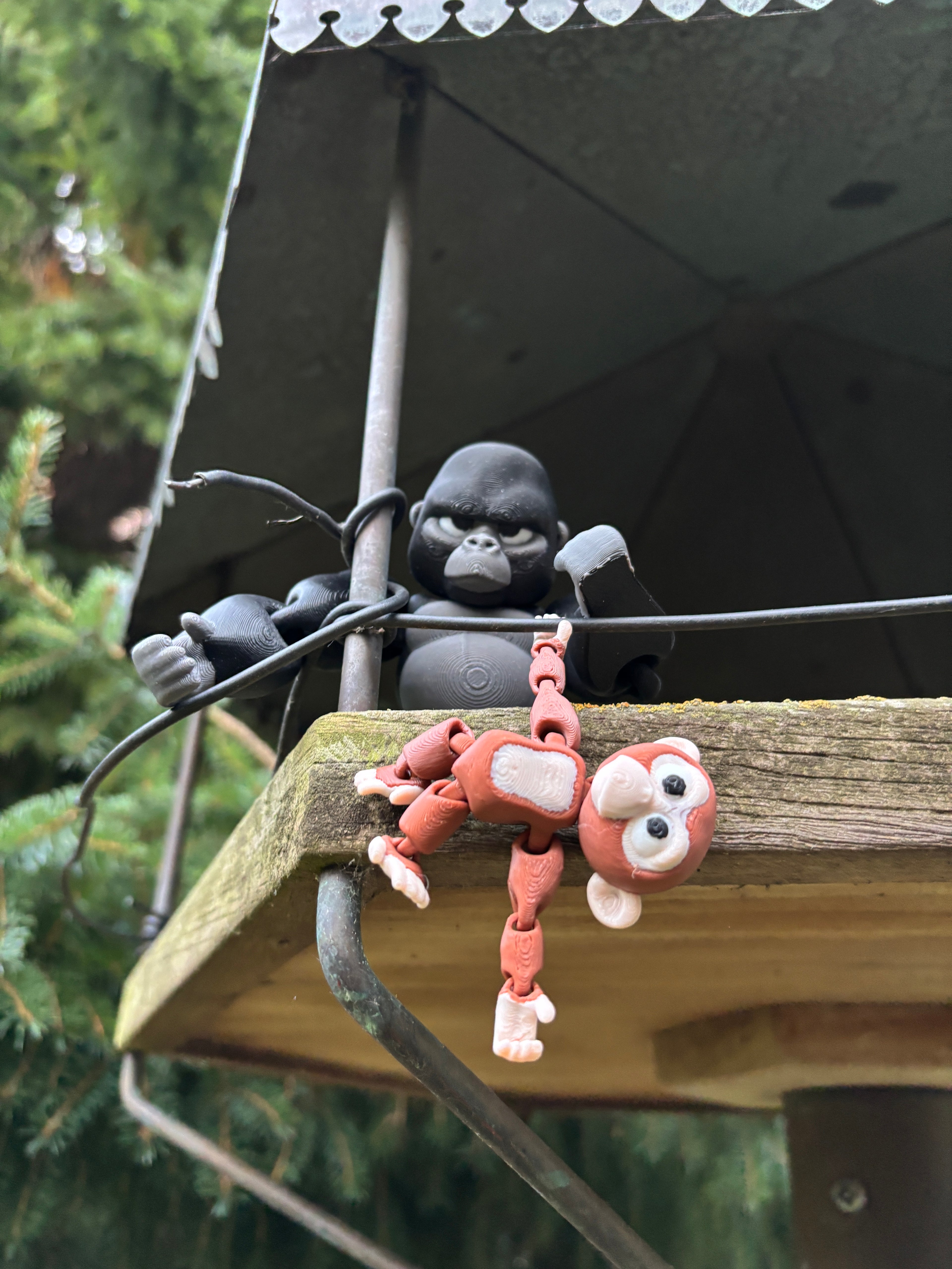 Grumble, Den Tavse Vogter fra Den Glemte Jungle