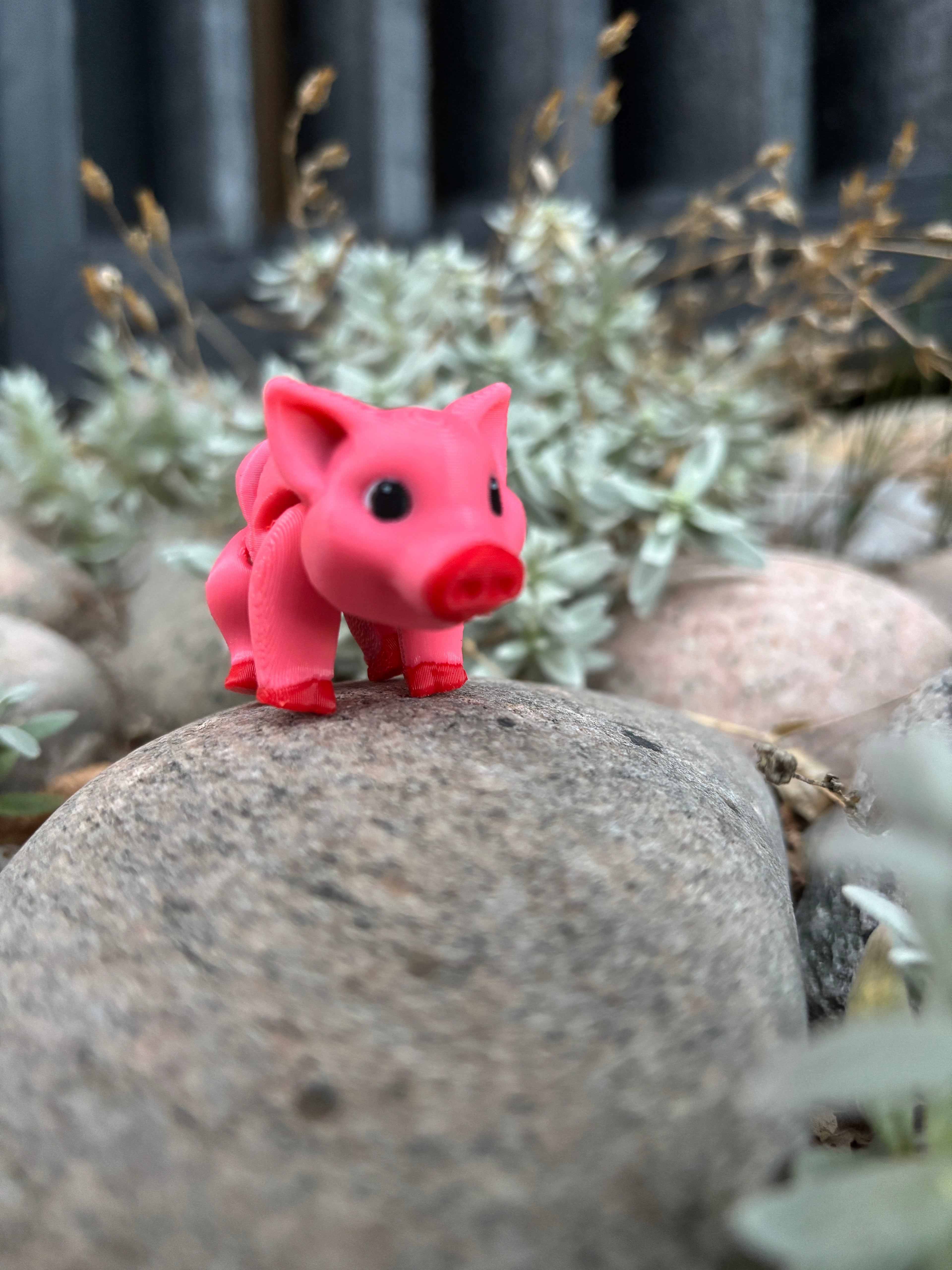 Percy, Den Pjattede Pjask-Gris fra Solstråle Gård