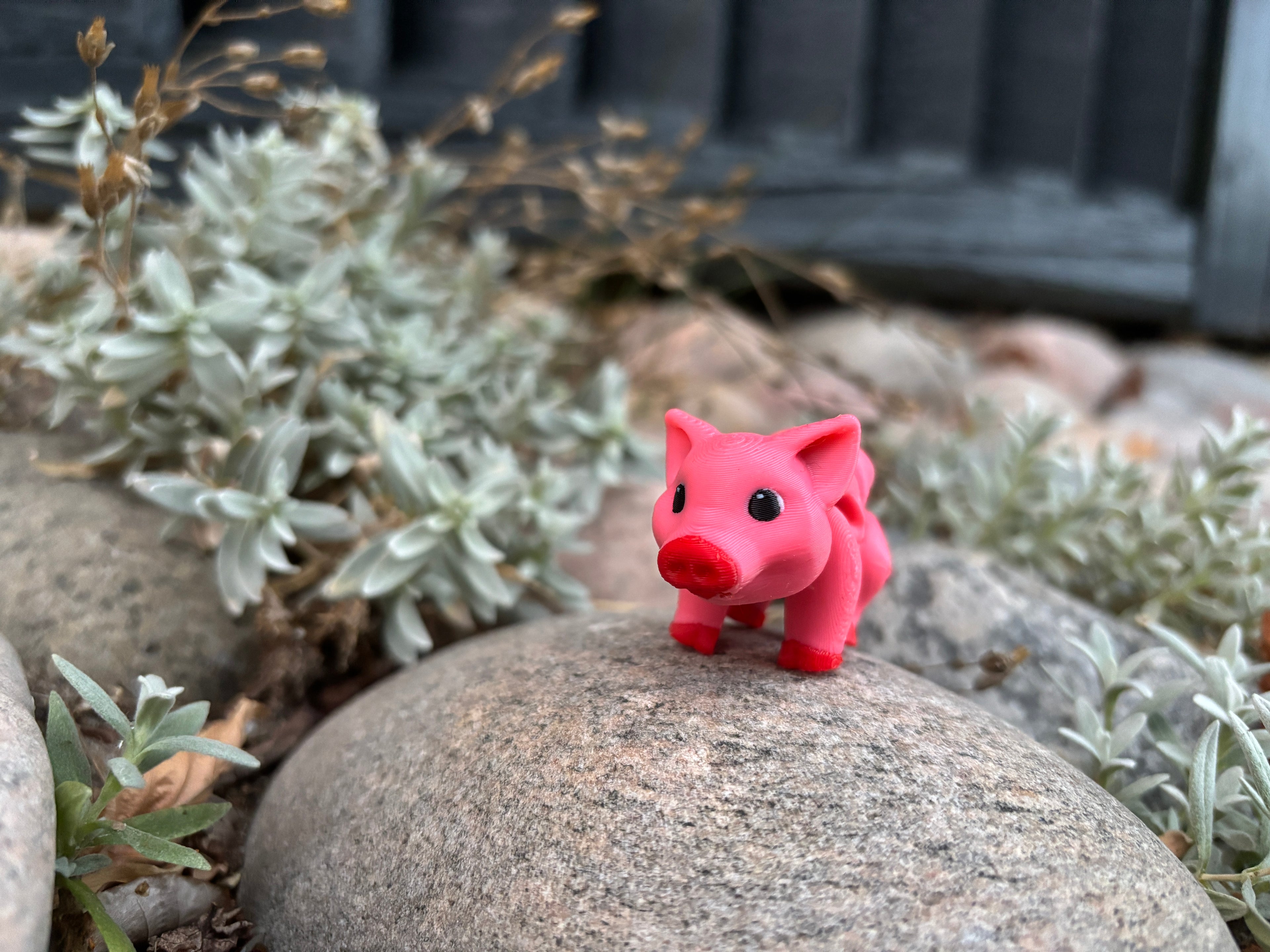 Percy, Den Pjattede Pjask-Gris fra Solstråle Gård