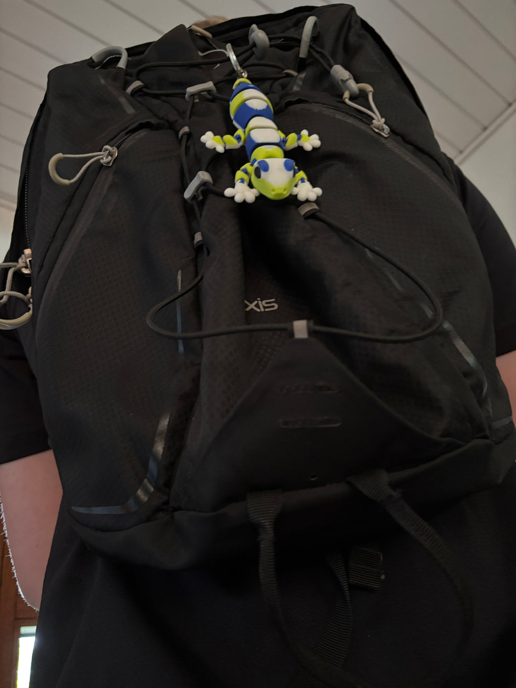 Zippy, Stribehalet Vidunder gekko fra Den Hviskende Jungle