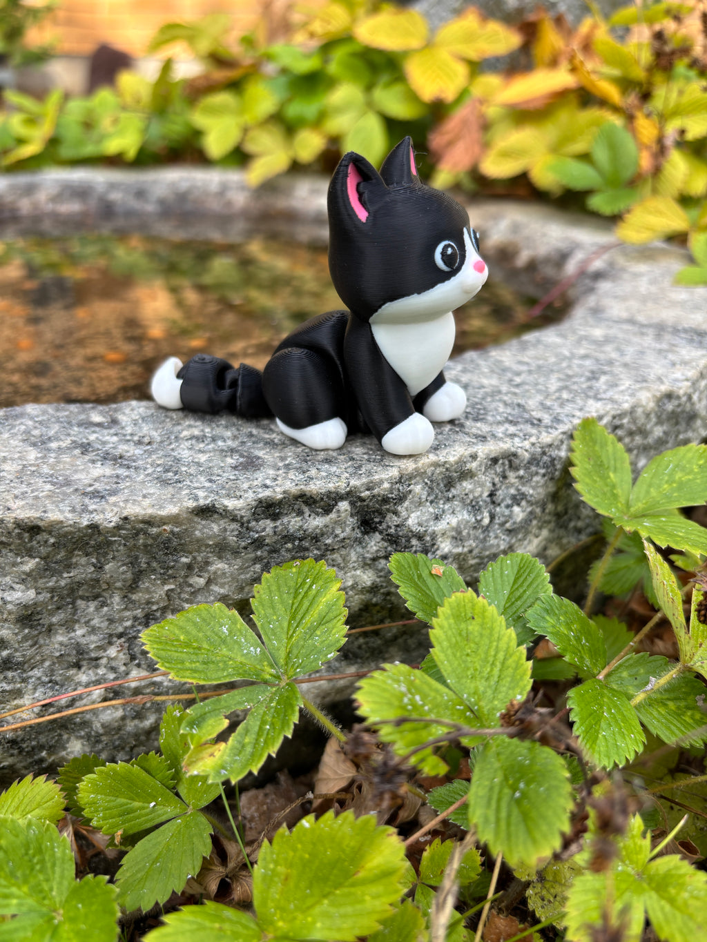 Mittens, Midnatsbibliotekets Kat fra Whimsey’s Vindue