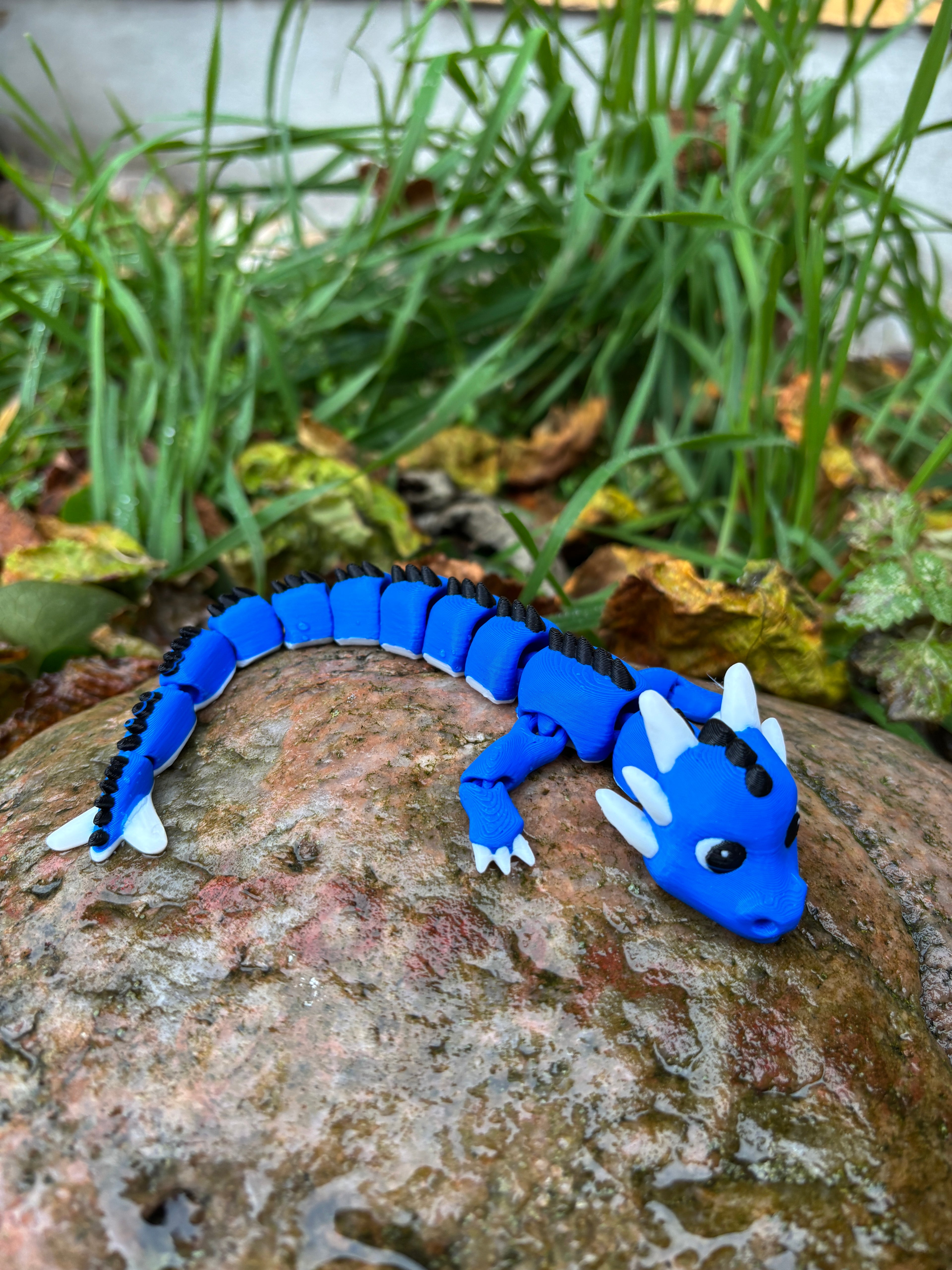 Drageungerne fra Tåge Tårnet – Bobleput Snirkehale, Gnistre Pip Flammestump, Tusluna Drømmestråle & Spirekvist Bladkrøl