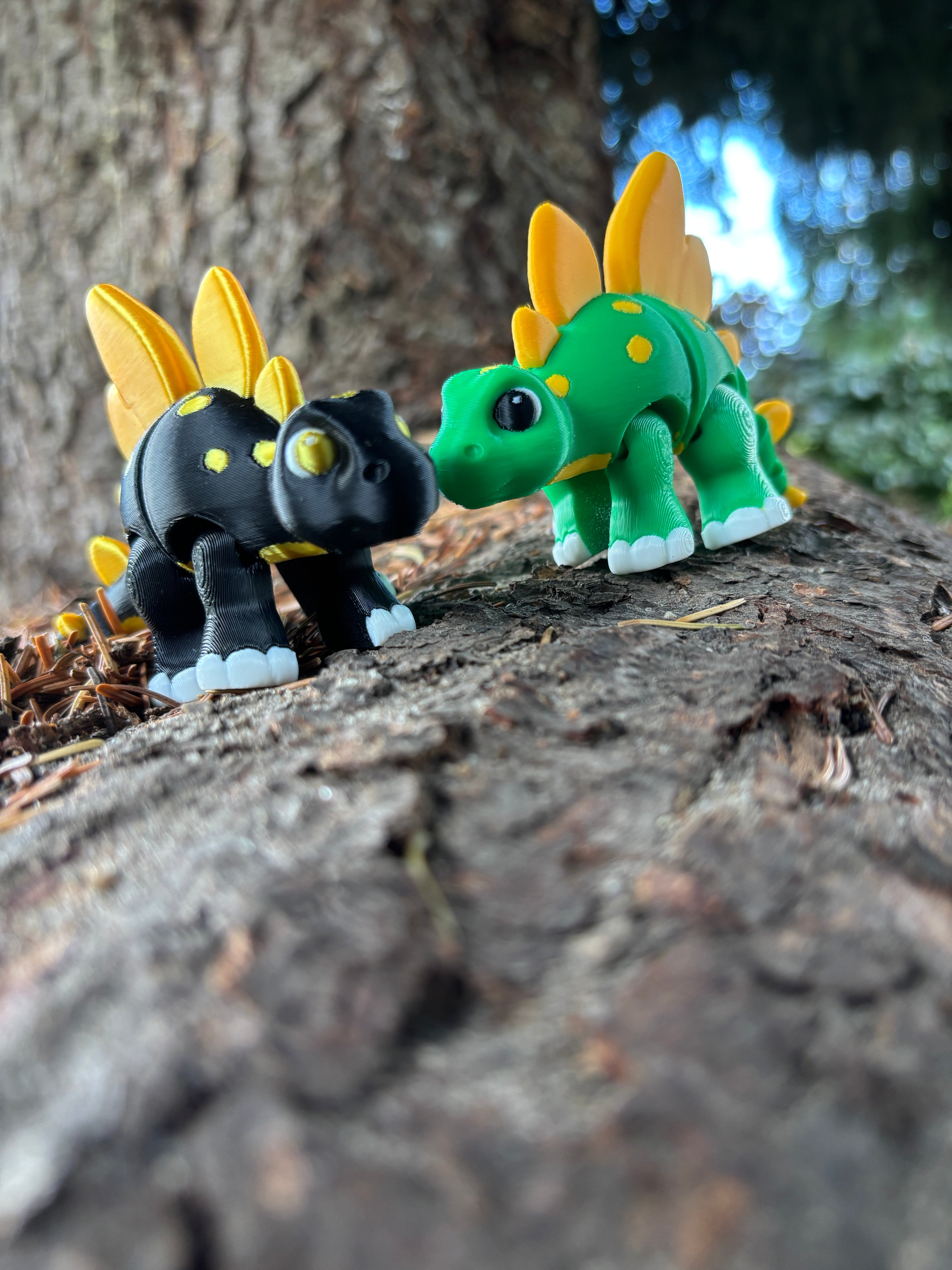 Sunny & Shadow, Spidshale-Stegoerne fra Glimmerbregne-skoven