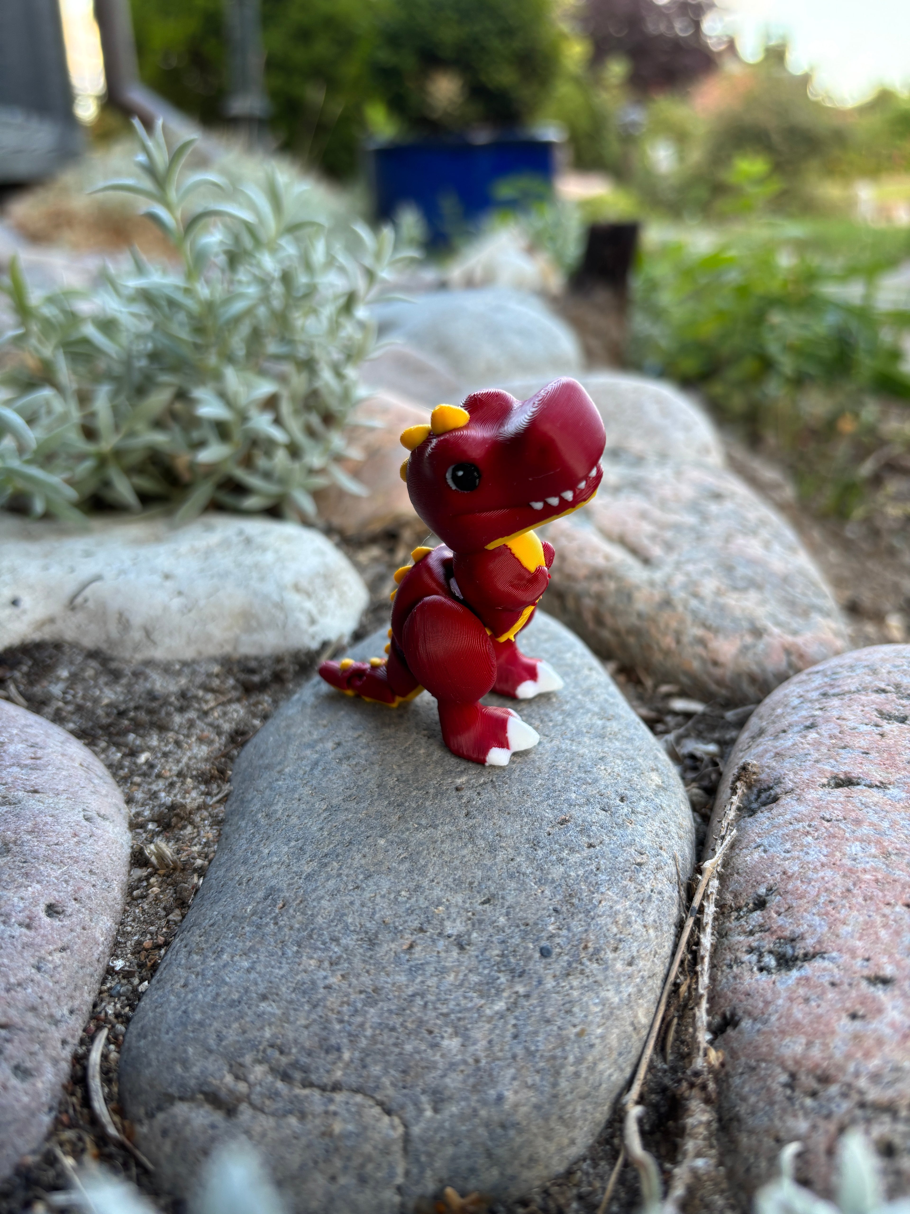 Rexley, Den Brølende Røde Raket fra Djærv Klit