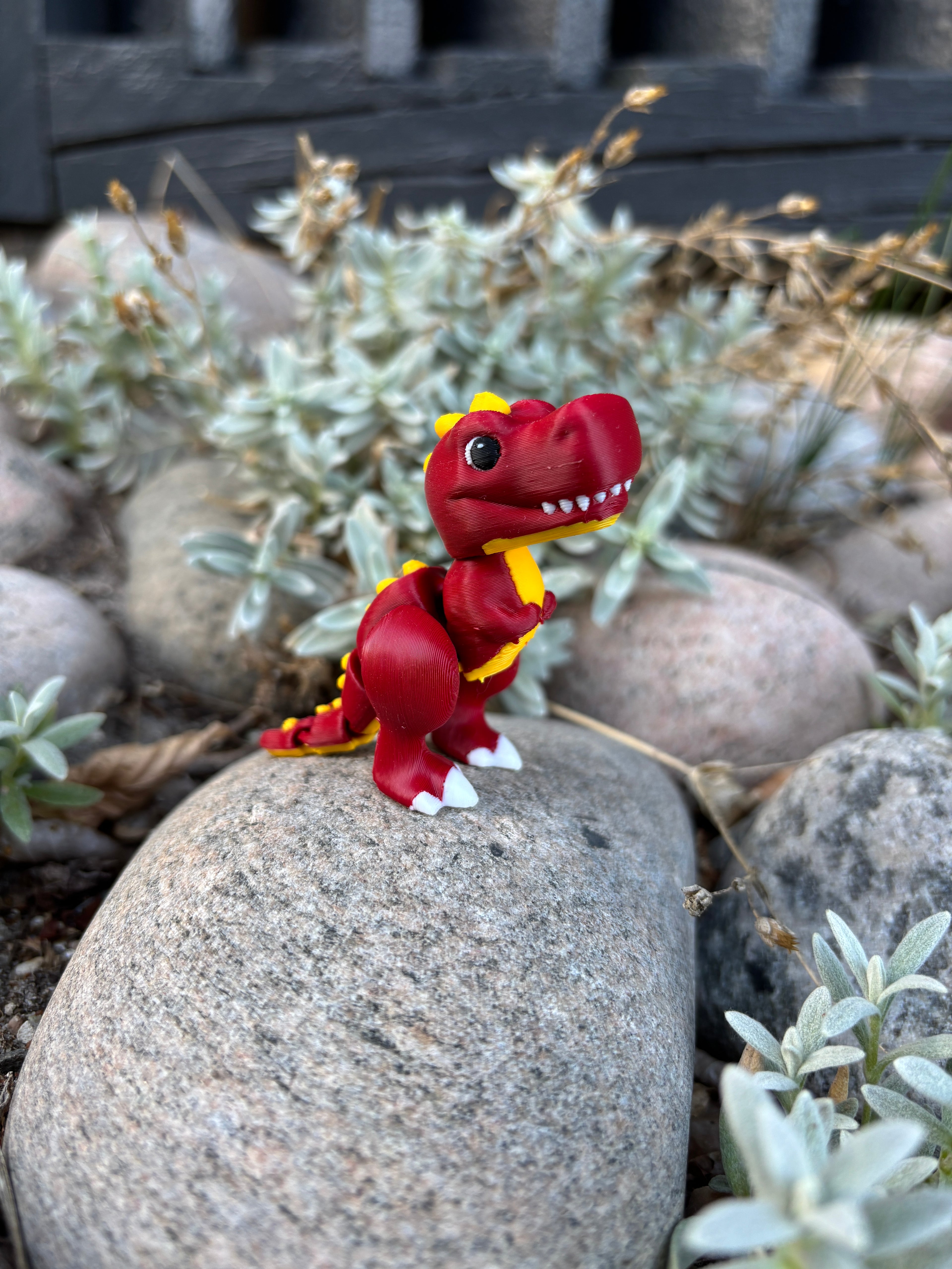 Rexley, Den Brølende Røde Raket fra Djærv Klit