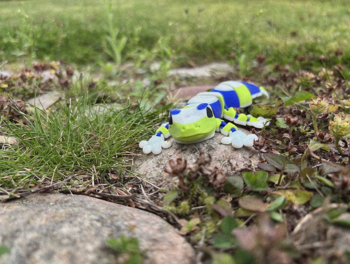 Zippy, Stribehalet Vidunder gekko fra Den Hviskende Jungle